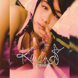 日韩精品一级毛片免费
